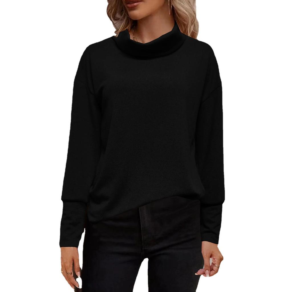 Autumn and Winter Women's Fashion Casual Turtleneck Brushed Knitwear