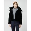 Cc Collect. Men S Velvet Hooded Short gooSe Down c254pSg804