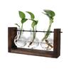 Hydroponic Vase Simple Decorative Glass Flower Vase Plant Terrarium with Wooden Stand