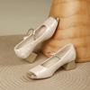 Casual Mary Jane Shoes for Women Chunky Block Heel Ankle Strap Dress Shoes Low Heels Square Closed Toe Mary Janes Pumps Women's Comfortable Work Shoes
