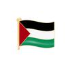 Fashionable Palestinian Flag Brooch Pin Wholesale Metal Badge For Clothing Accessories