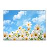 Abstract Daisy Art Large Carpet Living Room Floor Mat Colorful Pattern