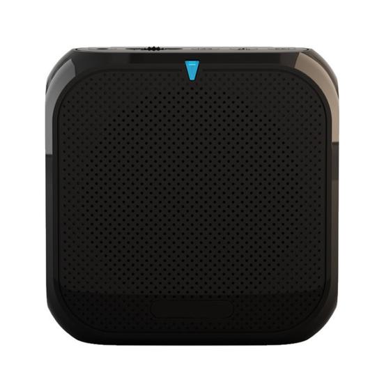 Портативный беспроводной усилитель голоса для учителей, совещаний, экскурсоводов, перезаряжаемая PA-система, динамик, персональный усилитель, мегафон с клипсой для крепления сзади