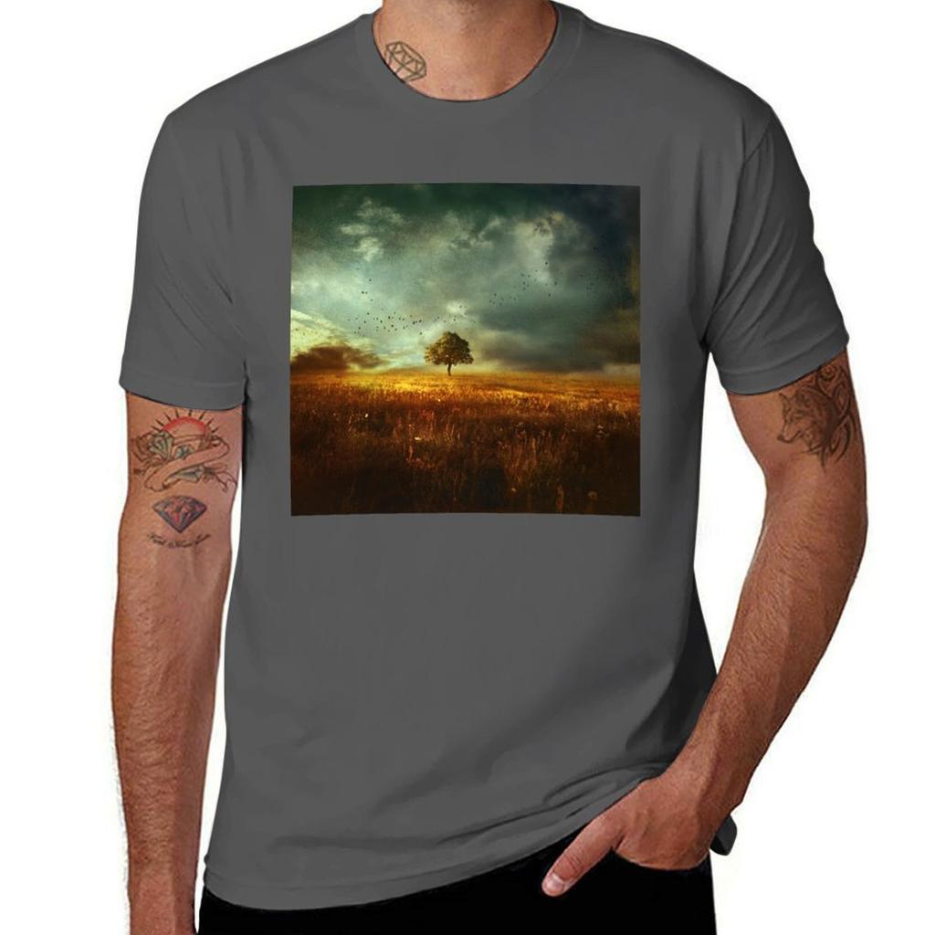 Sunset Landscape Tshirt Summer Casual Loose Tshirt