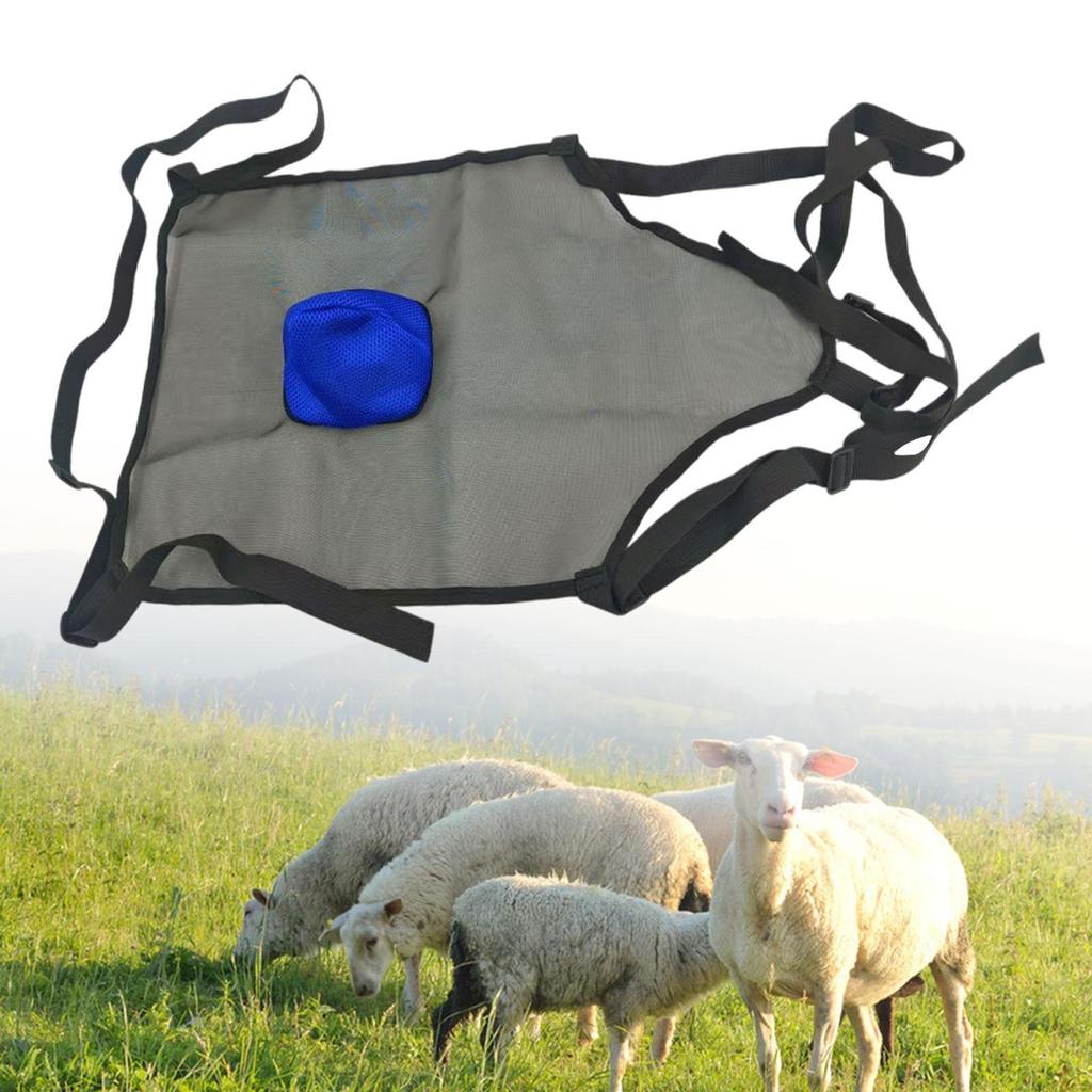Livestock Protective Cover for Abdomen - Durable And Easy To Use