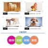 Durable Plush Dog Toy Teething Puppies Adult Dogs - Rope Knot Chew With Squeaker Rabbit Frog Pig Designs