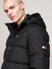 Winter Jacket Tommy Hilfiger Water Repellent Down Jacket (DM0DM19786) Black
