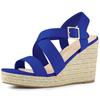 Allegra K Women's Platform Wedge Sandals, High Heels, Espadrilles, Deep Blue, Size 27.0 Cm