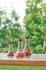 HARIO Triangular Flask Storage Container M Clear (Hario) SFS-M
