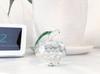 PARK SEVENTEEN Apple Crystal Suncatcher Paperweight, Clear Apple, 5cm Wide, Home Decor, Ornament, Gift, Small Item