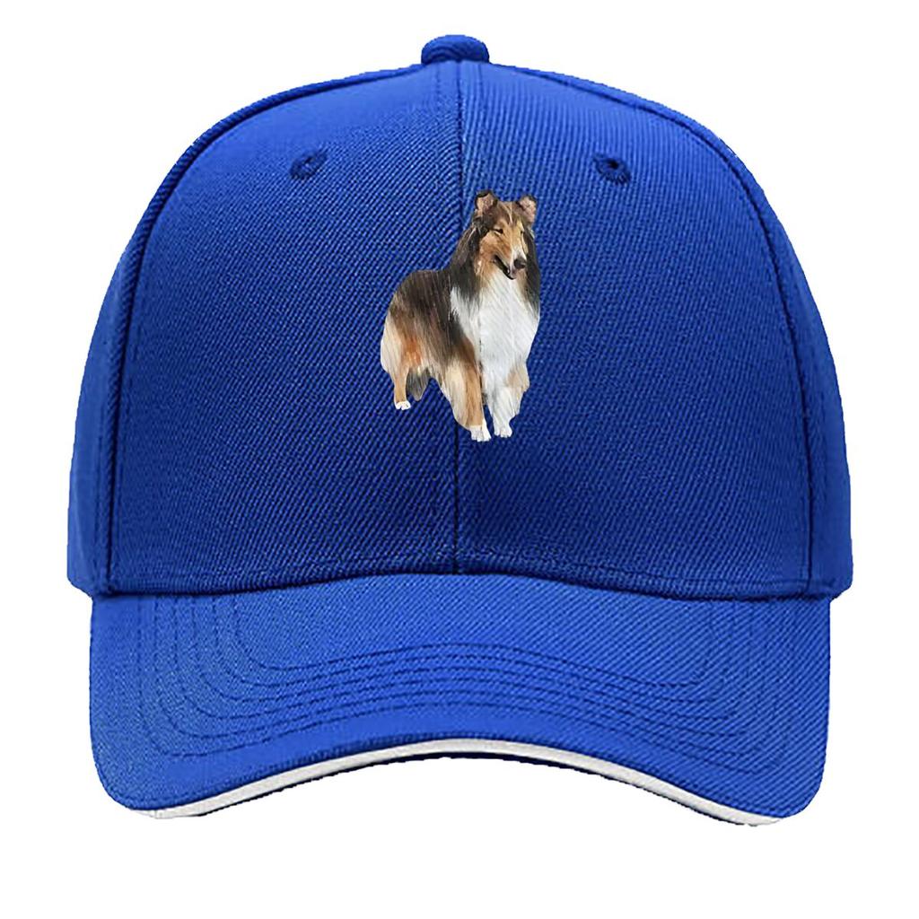 Collie Charm Dog Grace Hip Hop hat Fashion Outdoor Sports Sandwich Baseball Cap