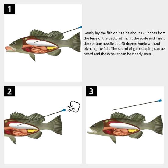 1 комплект игл для отвода газов из глубоководной рыбы, прочная полая игла для отвода газов из глубоководной рыбы, принадлежности для пресноводной рыбалки в соленой воде