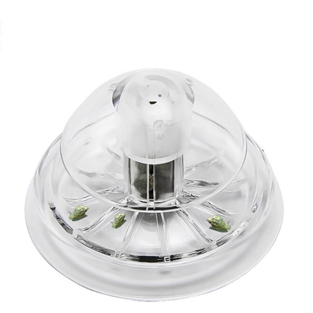 Clear Trap Aquarium Fish Tank Plants Planarian Leech Catch Environment