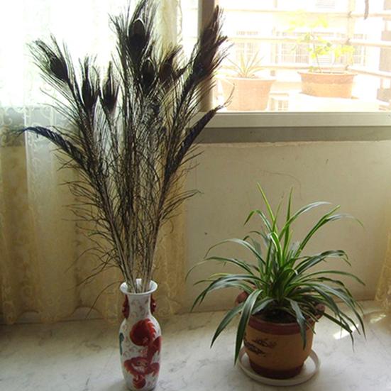 10 шт., хвостовые перья, привлекательные для поделок, экологически чистые павлиньи глазные хвостовые перья, нежный декор для комнаты, экологически чистый