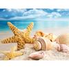 DIY Diamond Painting Cross Stitch Sea Shell Starfish Scenery Home Decor Rhinestone Mosaic 5D Diamond Embroidery