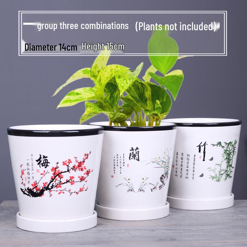 2025 Большой керамический цветочный горшок с поддоном для балкона и гостиной - Орхидея и Суккуленты в стиле альбома