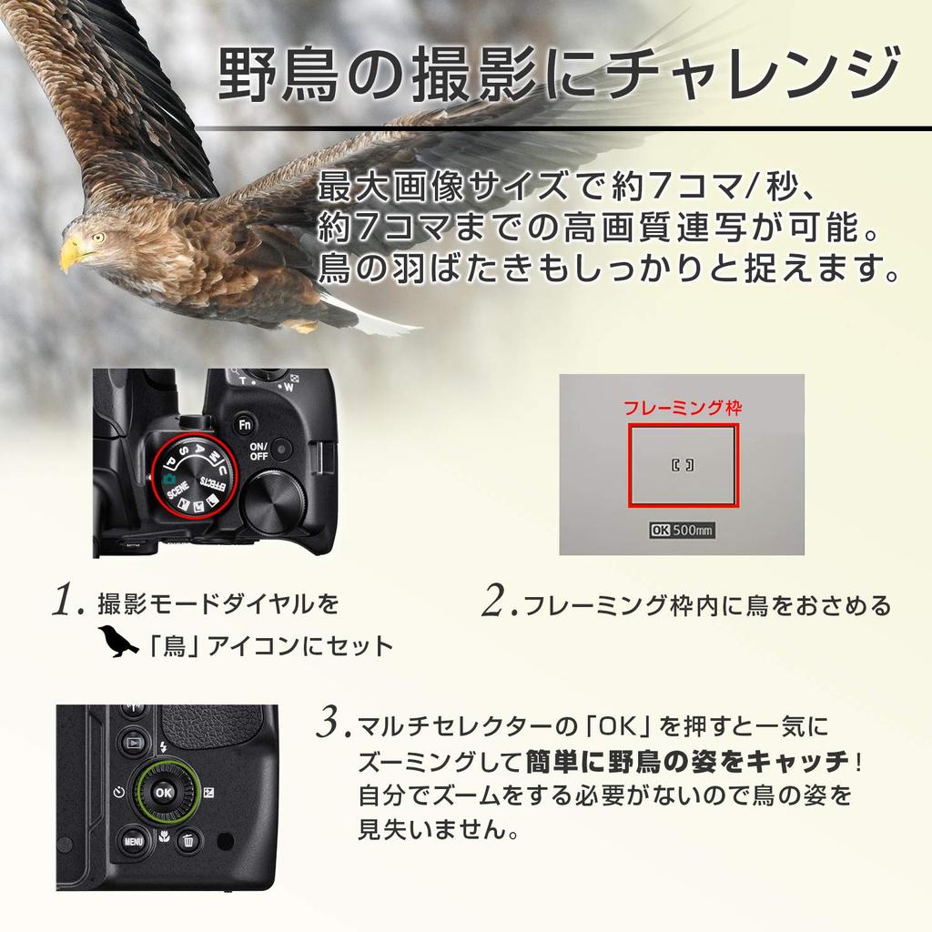 Nikon Цифровая фотокамера COOLPIX P900 черная COOLPIX P900BK