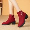 Мода 2025 Новая осенне-зимняя мода Однотонные ботильоны Круглый носок Квадратный каблук Боковая молния Однотонные повседневные ботинки Сохраняют тепло 35-41