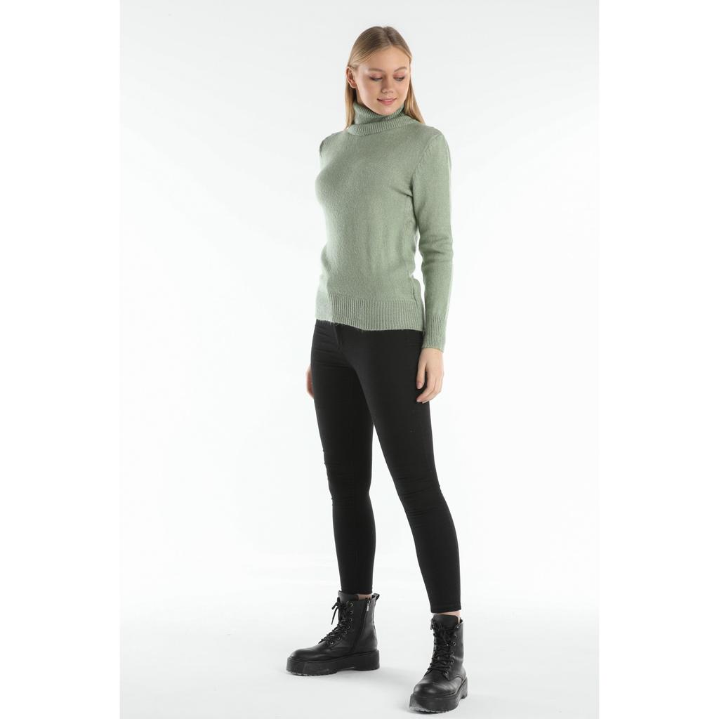 Turtleneck Standard Size Light Green Knitwear Sweater