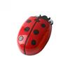 Ladybug Magnetic Pencil Case Board Eraser Storage Box Dual Purpose Eraser Whiteboard Pen Organizer Cartoon Refrigerator Magnet