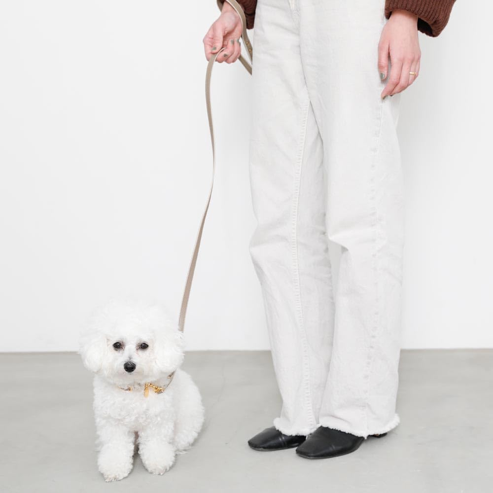 Кожаный поводок для собак мелких и средних пород, цвет мокко и коровья кожа для прогулок и выездов, Monchéri [Двухцветный поводок] (БЕСПЛАТНО Слоновая кость)