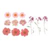 Materials Jewelry Making Stickers Resin Filler Beauty Decal Dried Flowers Resin Mold Filling Flower