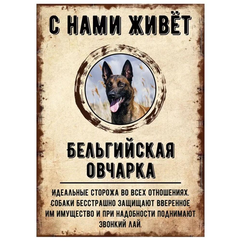 ОСТОРОЖНО СОБАКА Забавная Шнауцер Металлическая Табличка Декор для Питомца 20x30см