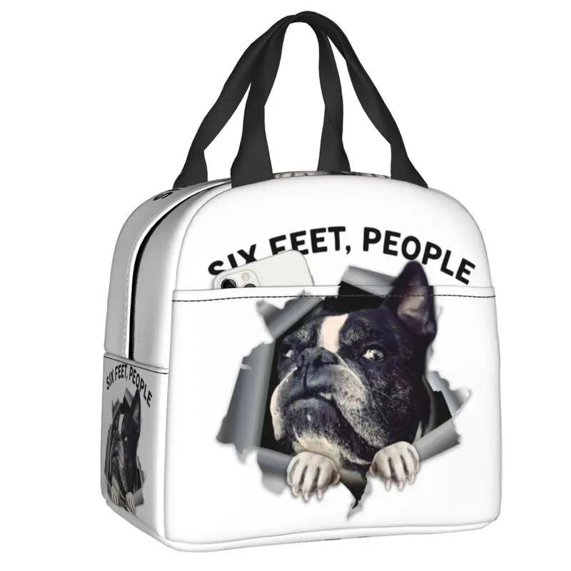 Бостонские терьеры любят хозяек, собак, портативные ланч-боксы, герметичные охладители, термосумки для еды, школьные дети