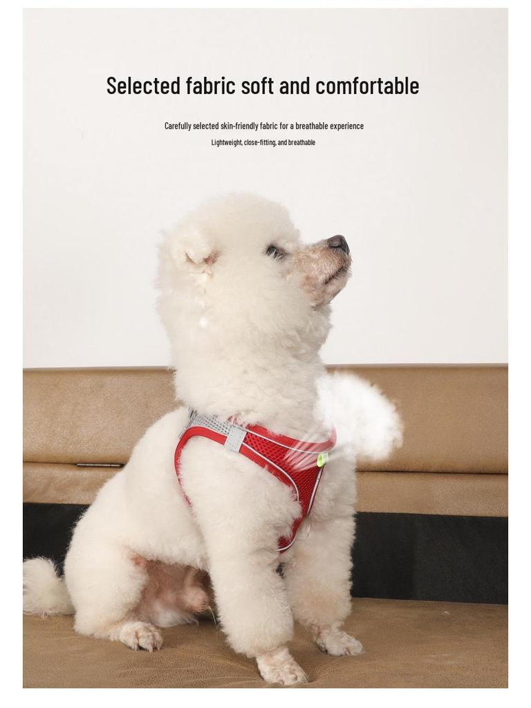 Регулируемый поводок для кошек и собак: Защищенный от побегов, выдвижной поводок для прогулок на открытом воздухе