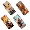 Lovely Animal Fox Phone Case For Samsung M30 M31 S Note 10 20 M04 M13 M32 M14 M23 M33 M34 M42 M52 M53 M54 5G M11 M12 M21 M22 M51
