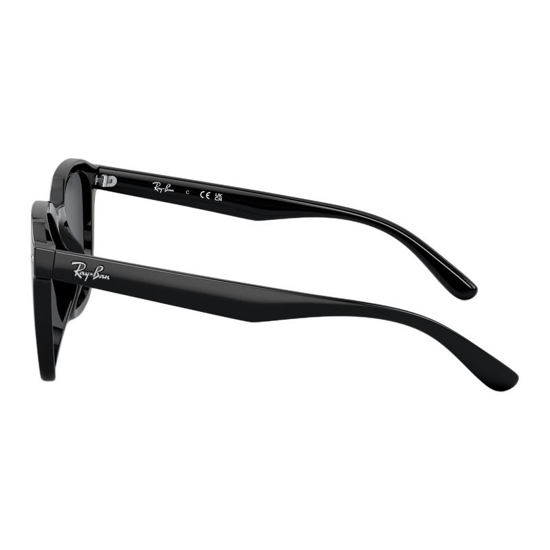 RAYBAN Acetate Irregular Geometry Sunglasses Unisex Couple Style 0RB4392D-601/87