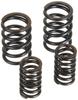 Reinforced Valve Spring Set for Ape for Kitaco SPL Cylinder Heads 50/Ape 100/XR50 Motard/CB50/R&P/XR80 Etc., 303-1018000