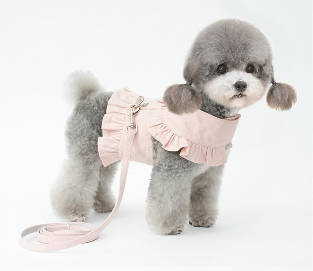 Lady Glamour Frilled Harness with Sparkling Decorative Easy To Put On and Take Includes a Matching Fabric Perfect for Dogs and Perfect for Walking