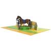 Equestrian Sports Theme Card PopUp Card with Envelope 3D Greeting Cards for Birthdays Anniversaries Parties Gift