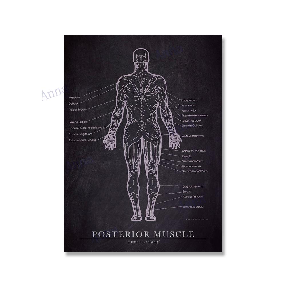 Muscle Foot Bone Heart Anatomy Skeleton Wall Art Canvas Painting Nordic Posters And Prints Wall Pictures For Doctor Office Decor