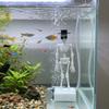 3D Printed Fish Tank Dance Skull Ornament Dynamic Skeleton Bubbler  Aquariums Enthusiasts