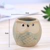 1pcs Personality Succulents Flower Pot Owl Animal Small Flower Pot Creative Cute Thumb Pot Ceramic Hole
