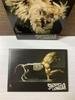 [Б/У] SHOW LIONROAR (CD+DVD) С автографом (Тайваньская версия)