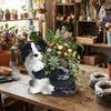 Unique Succulent Pot Cute Animal Planter Plant Pot Flower Pot  Home Decoration
