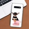 Chihuahua Puppy Teacup Dogs Phone Case For Samsung Galaxy M21 M12 M31S M32 M51 M52 Note 20 Ulte 10 Plus 9 8 J4 J6 + J8 M11 F52 F
