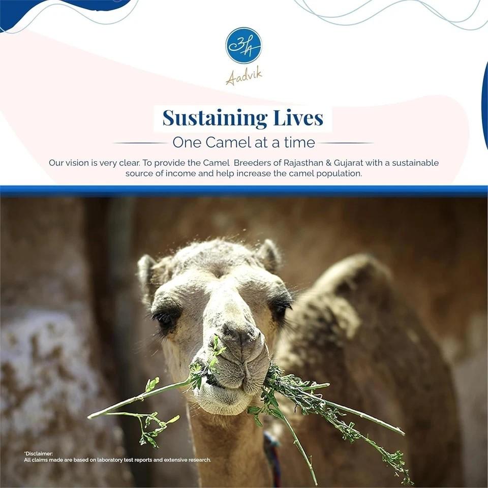 Camel Milk Powder for Overall Health Pure, Natural & Freeze-Dried 200 gm