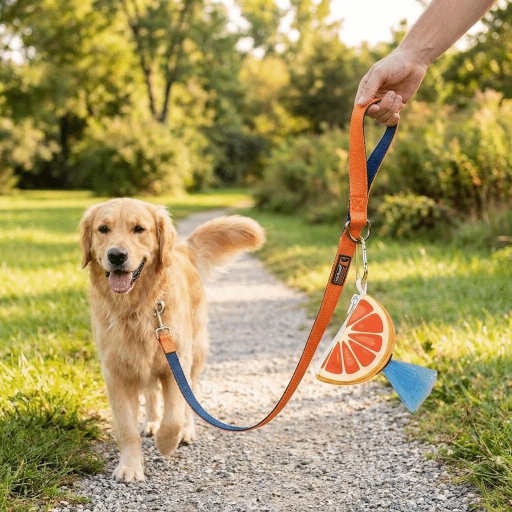 Colorful Dog Poop Bag Case Portable Pet Poop Bag Holder Pet Garbage Bag Dispenser  Travel