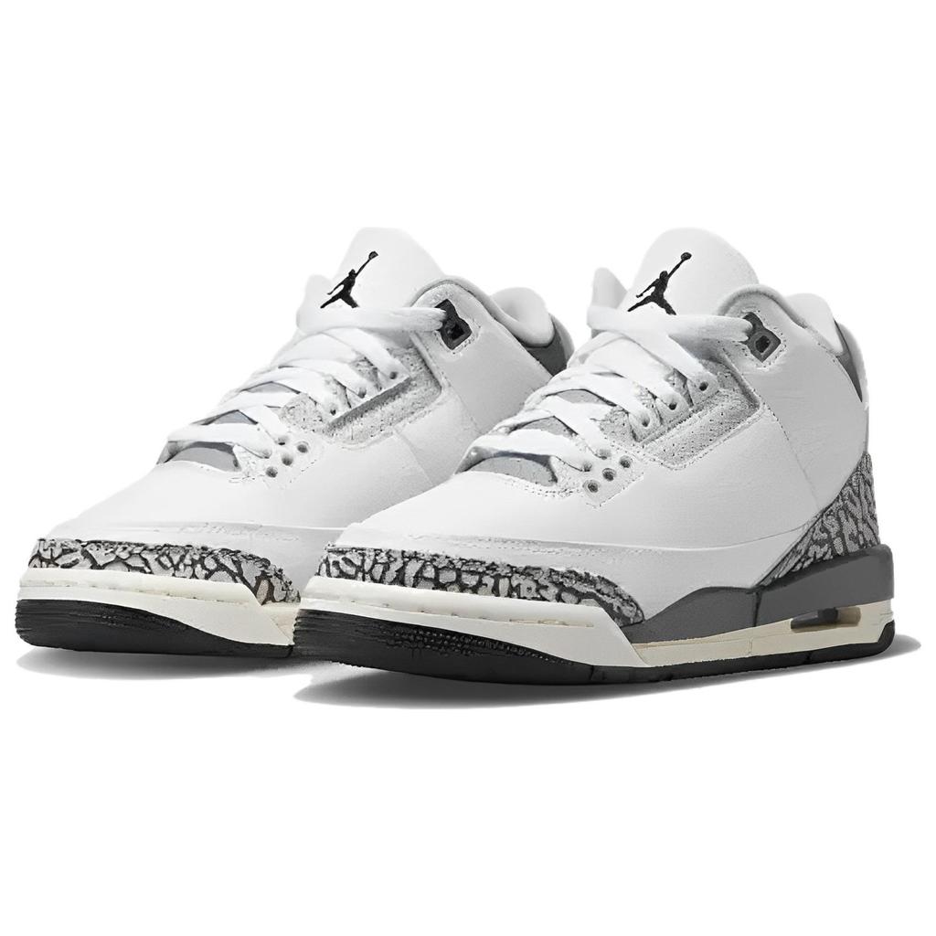 Детские кроссовки Air Jordan 3 Retro GS Hide N Sneak White Black Iron DX6665-100