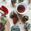 5 шт. Пластиковая сетчатая канва для вышивания, Пластиковая канва для needlepoint, Сетчатая ткань для глаз фурсьютов для поделок DIY