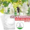 Grapes Net Bags Vegetable Grapes Fruit Protection Grow Bag Fruit Mesh Bag Against Insect Pest Control Bird Home Garden