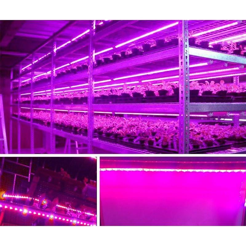 5M 2835 SMD LED Grow Light Full Spectrum USB Grow Light Strip Phyto Lamps Plant Growth Light for Plants Greenhouse Hydroponic Growing