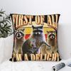 Decorative Pillowcases First Of All I'M A Delight Funny Raccoon Merchandise Living Room Pillow Case Cover Square Multi Size