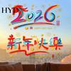 Festive Window Clings 9 Pcs for Chinese New Year Reusable Static PVC 2026 Lunar Decals Sticker Home Shop Glass Door Spring Festival Decoration