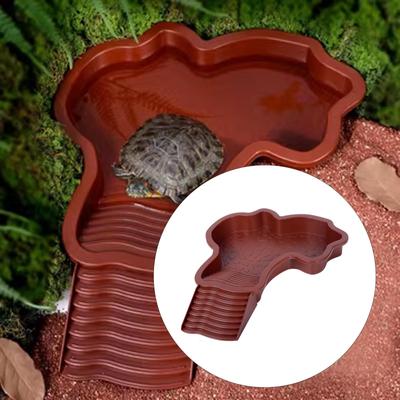 Бассейн для купания рептилий, кормушка с пандусом, водные черепахи и ящерицы