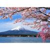 MISITU Jigsaw Cherry Stylish Cherry Blossoms and Fuji X 70 1000-Piece Puzzle, Landscape, Blossoms, Mt. Fuji, Mountains, Flowers, Nature, Gift,